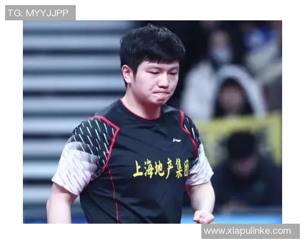 樊振东体能储备情况分析及其对比赛表现的影响探讨