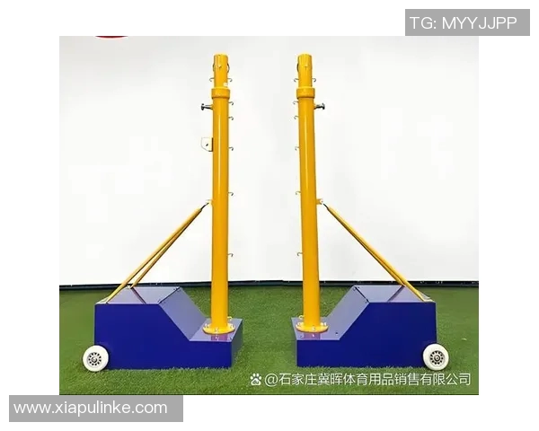 羽毛球赛事观众入场须知及注意事项全面指南