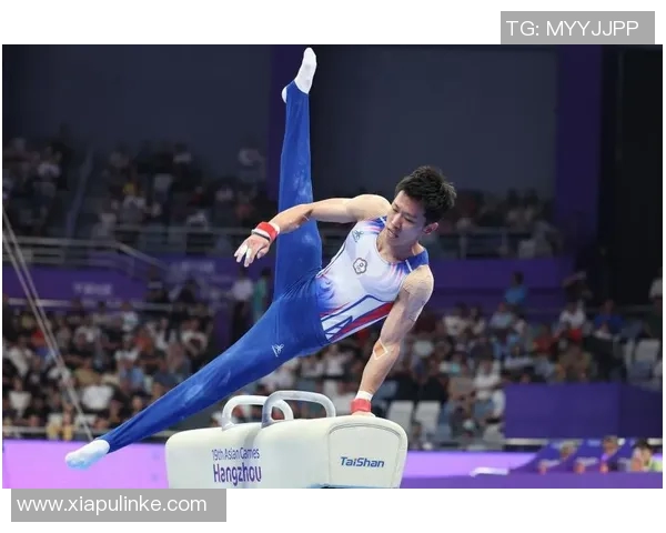 2023年体操世锦赛鞍马决赛精彩回顾与选手表现分析